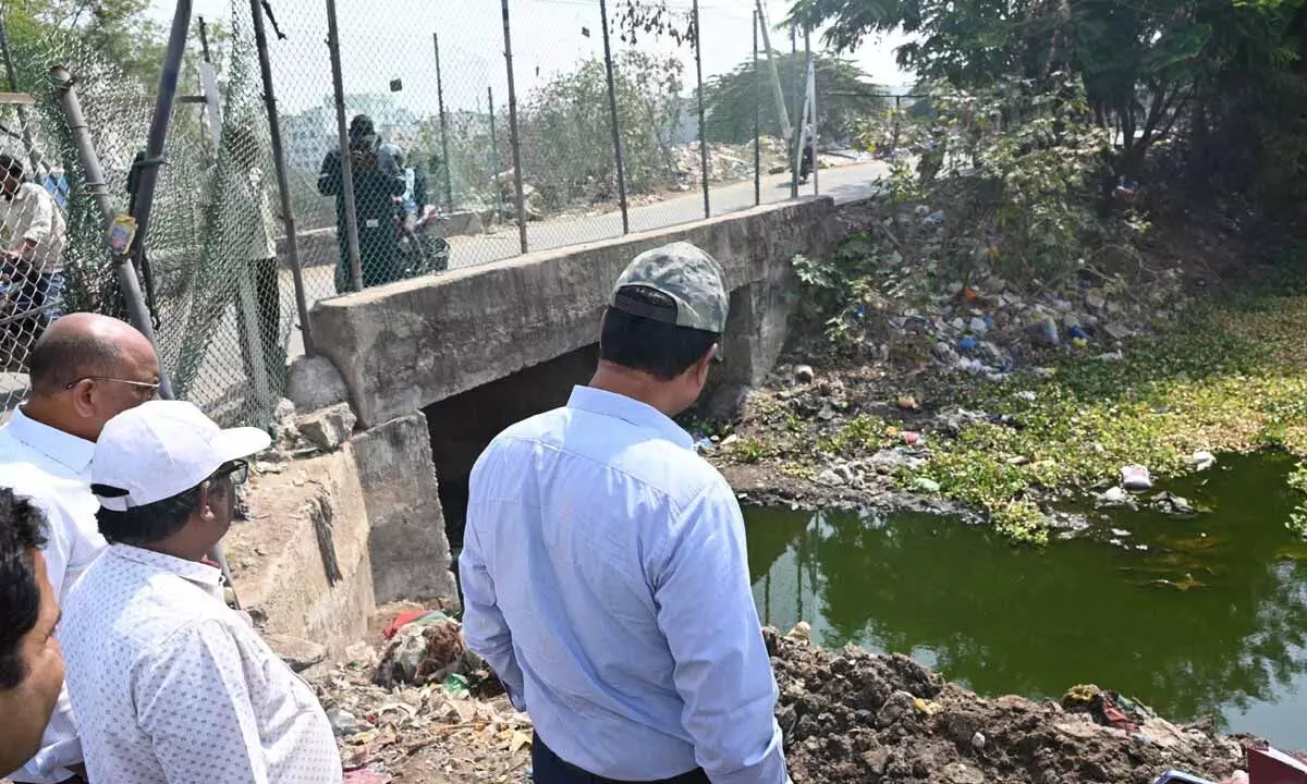 HYDRA Commissioner reviews beautification efforts at city lakes